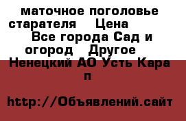 маточное поголовье старателя  › Цена ­ 3 700 - Все города Сад и огород » Другое   . Ненецкий АО,Усть-Кара п.